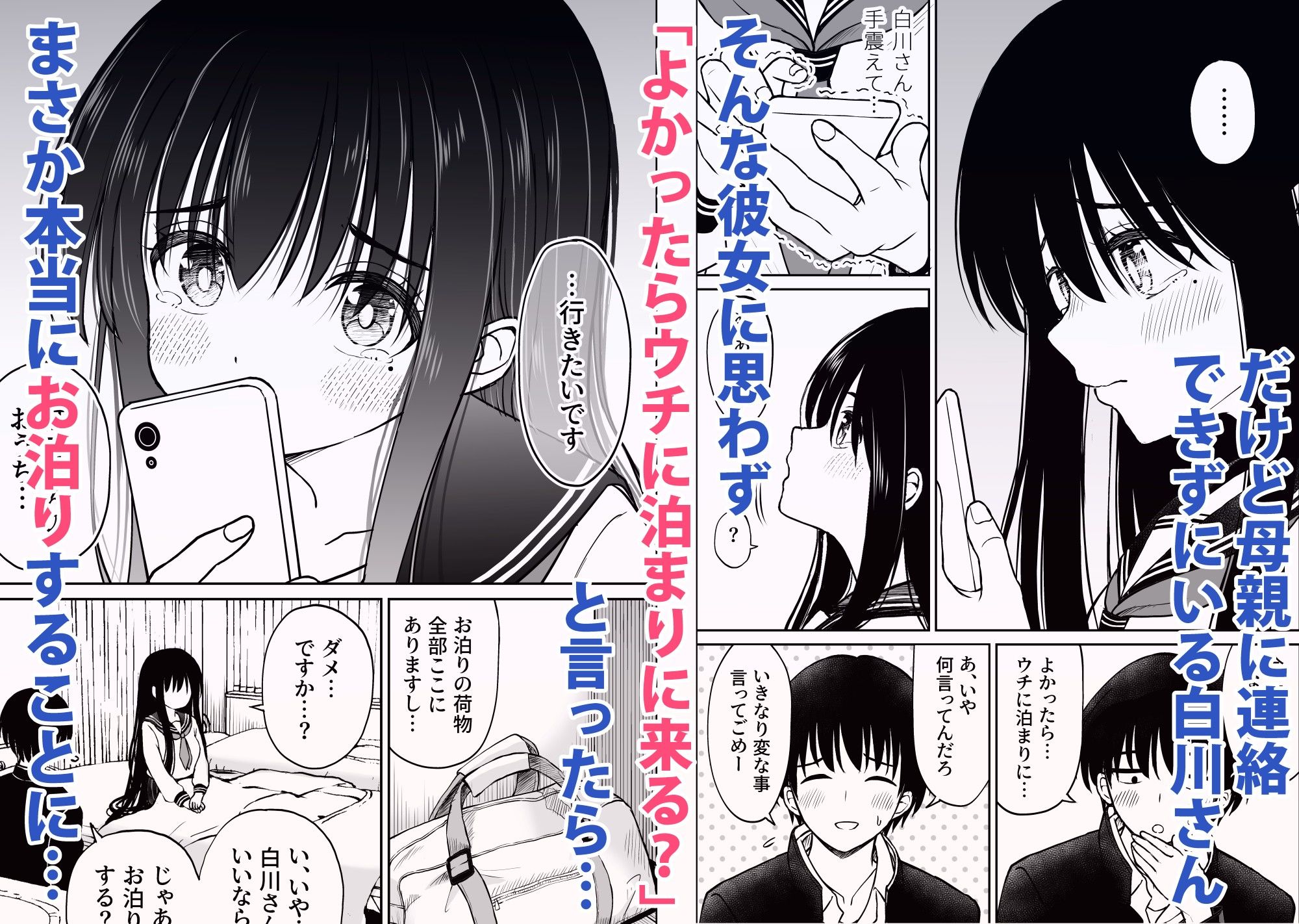 裏修学旅行日記〜青春できない僕らの、秘密の2泊3日〜_2